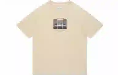 FEAROM T