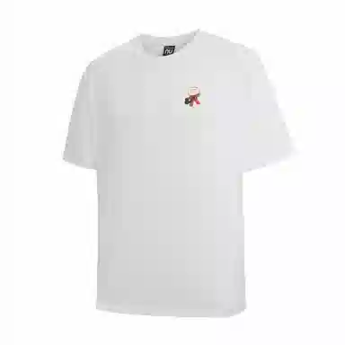 NORTHLAND PROFESSIONAL KK T