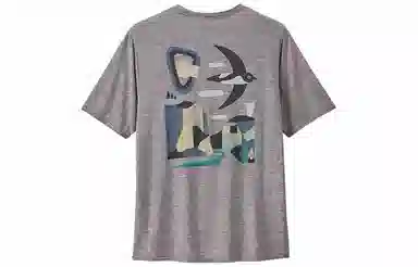 patagonia Cap Cool Daily- Lands T