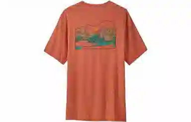 patagonia Cap Cool Daily- Lands T