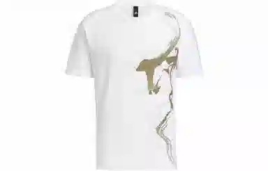 adidas Wj Gfx Story T