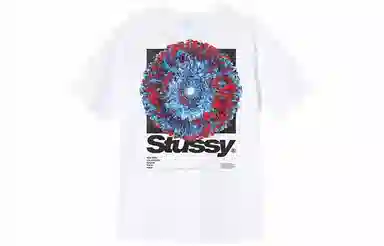 Stussy Young Organics Tee T