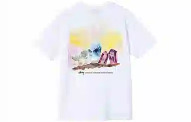 Stussy Higher State Tee T