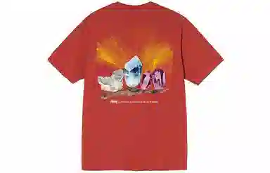 Stussy Higher State Tee T