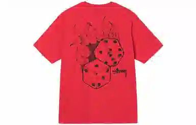 Stussy SS22 T