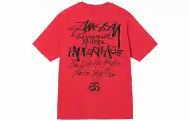 Stussy logoT