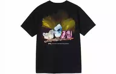 Stussy Higher State Tee T