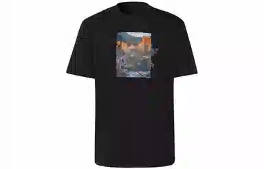 adidas originals Ldsp Tee T