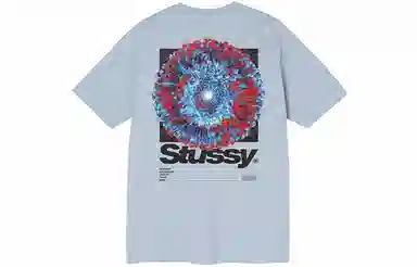 Stussy Young Organics Tee T