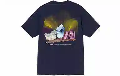 Stussy Higher State Tee T