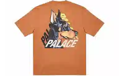 PALACE SS22 P-3-K-9 T-shirt Caramel LogoT