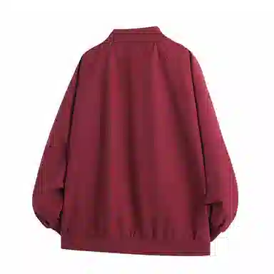 HSWLD bomber