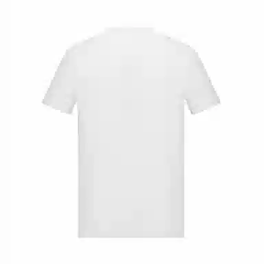 DESCENTE TRAINING logoT