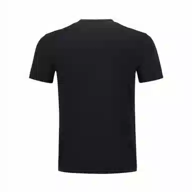 DESCENTE TRAINING logoT