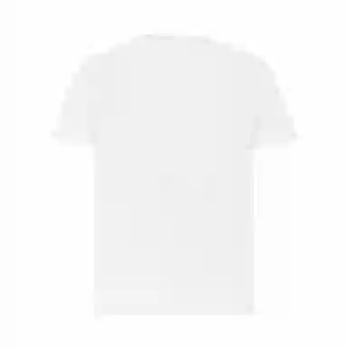 DESCENTE TRAINING logoT