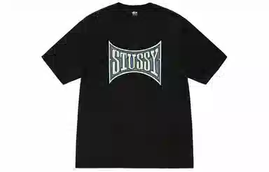 Stussy SS23 Champion Pigment Dyed Tee LogoT