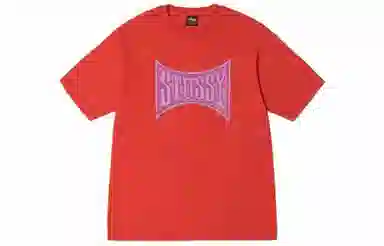 Stussy SS23 Champion Pigment Dyed Tee LogoT