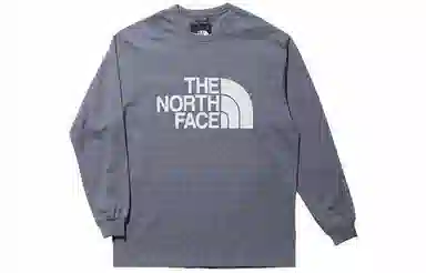 THE NORTH FACE SS23 LogoT