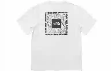 THE NORTH FACE SS22 Logo T