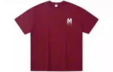 LIGHTNING MONSTER LogoT