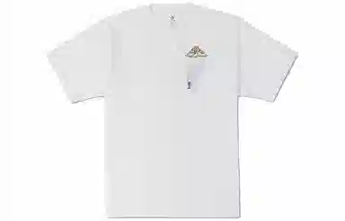 Converse T