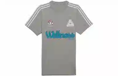 PALACE x adidas originals Wellness Graphic Short Sleeve Tee LogoT