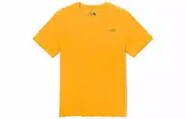 THE NORTH FACE SS22 LogoT