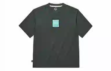 361 T