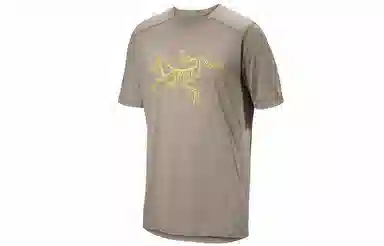 Arcteryx Ionia Merino Wool Logo Tee LogoT