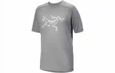 Arcteryx Ionia Merino Wool Logo Tee LogoT