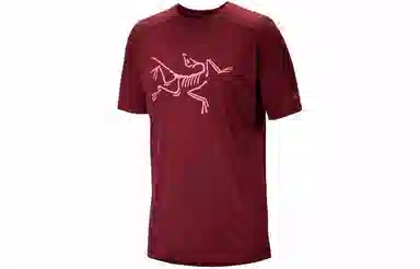 Arcteryx Ionia Merino Wool Logo Tee LogoT