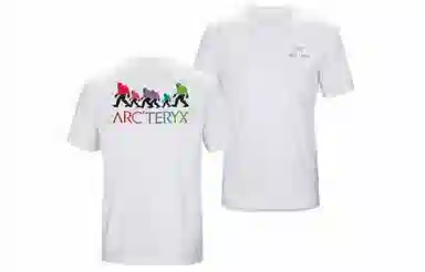 Arcteryx x Bigfoot SV Polychrome T