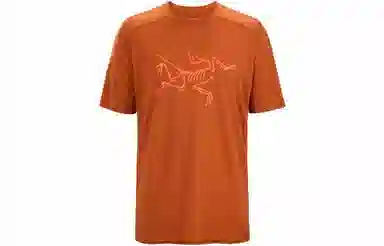 Arcteryx Ionia Merino Wool Logo Tee LogoT