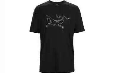 Arcteryx Ionia Merino Wool Logo Tee LogoT