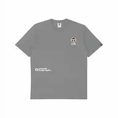 Aape T