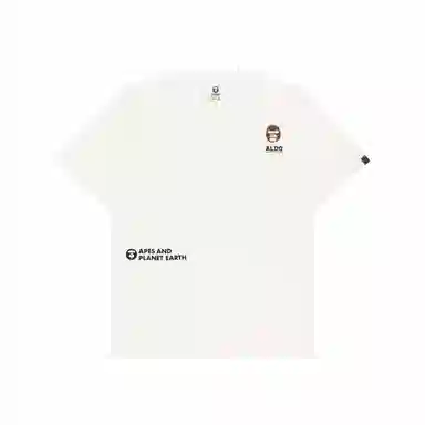 Aape T
