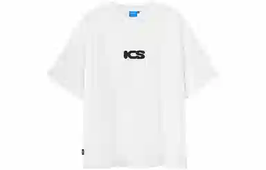 ICONS Lab SS23 ICSLogoT