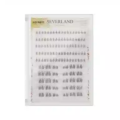 SEVERLAND 10