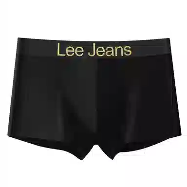 Lee 4