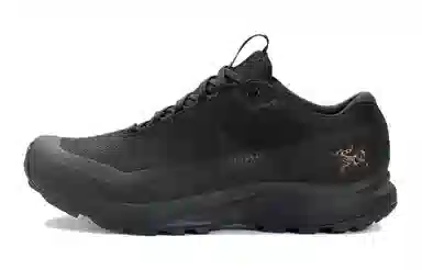 Arcteryx Aerios Fl 2 GTX 811