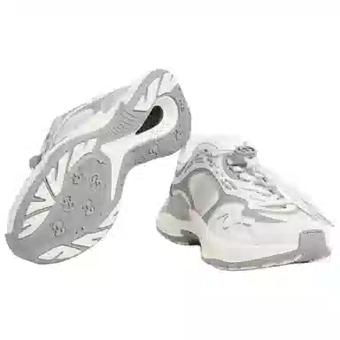 Gucci 2.0 White Grey