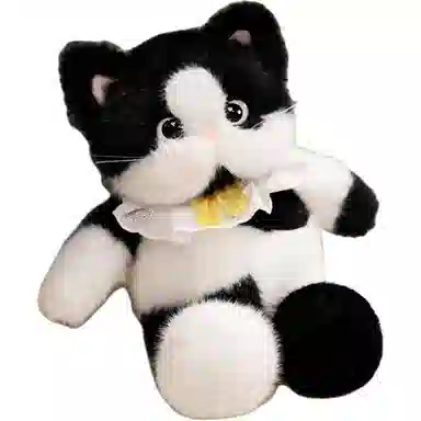 lionf 45cm60cm