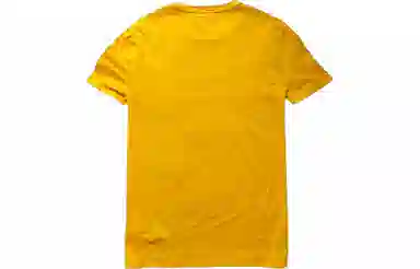 Polo Ralph Lauren T