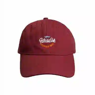 杨同学 简约百搭刺绣软顶磨毛韩版 棉 鸭舌帽 男女同款情侣款