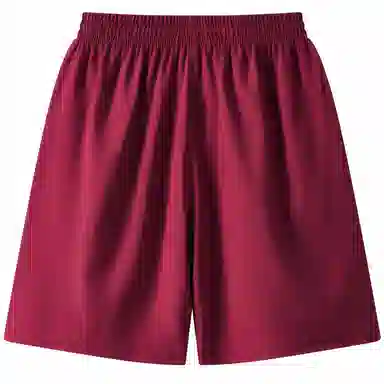 Sesame Street Shorts