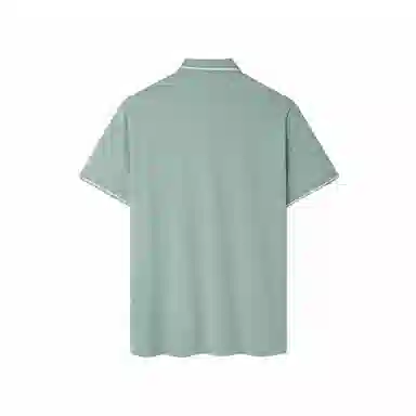 HLA POLO