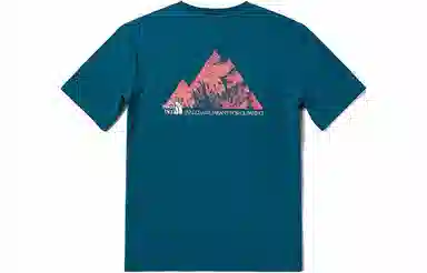 THE NORTH FACE T