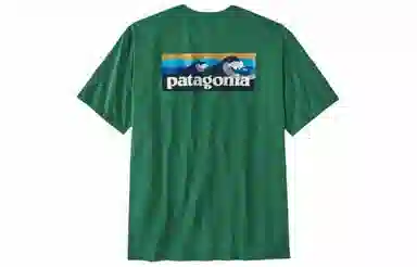 patagonia T