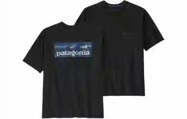 patagonia T