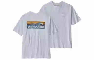 patagonia T